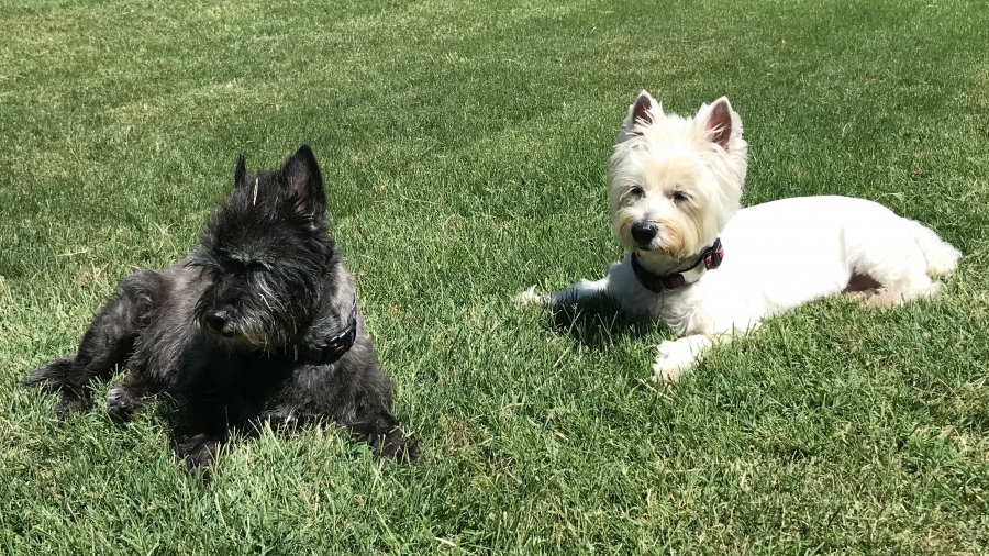 Maggie and Cait 2018