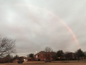 Pink rainbow